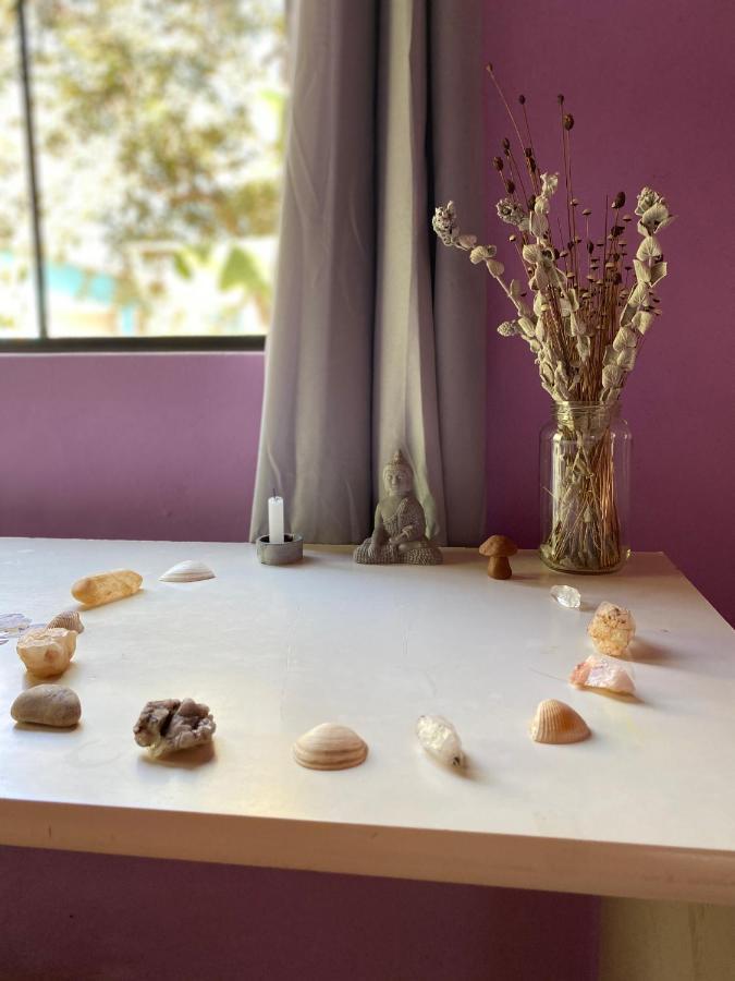 Tenda Da Lua Alto Paraíso de Goiás Εξωτερικό φωτογραφία