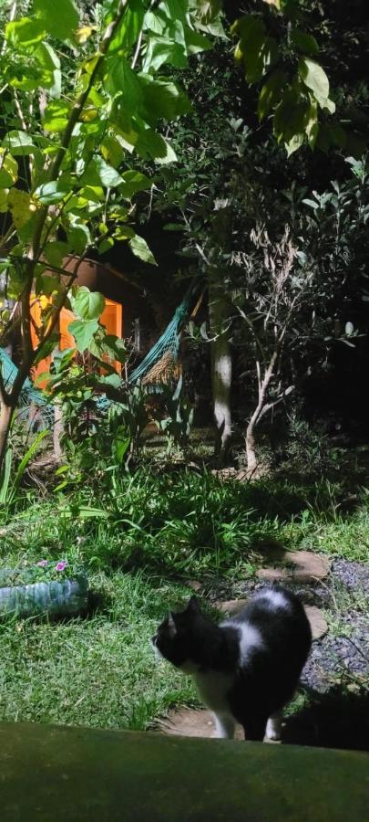Tenda Da Lua Alto Paraíso de Goiás Εξωτερικό φωτογραφία